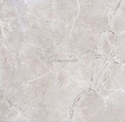 Goldis Tile Lorenzo AOLZ NAOG Gray Matt Серый Матовый Керамогранит 59,4x59,4 см