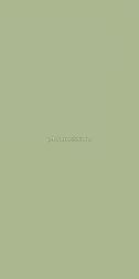 Fakhar Monocolor Green Зеленый Матовый Керамогранит 60х120 см
