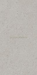 Kerama Marazzi Чеппо ди Гре DD591200R Серый светлый Матовый обрезной Керамогранит 119,5x238,5 см