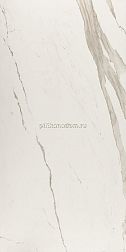 Kutahya Albatros Rectified Matt Белый Матовый Керамогранит 60х120 см