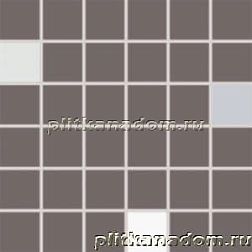 Rako Concept Plus WDM05011 Мозаика (5x5) 30x30 см