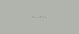 Staro Slab Matt Mono Grey 12mm Матовый Керамогранит 160х320 см
