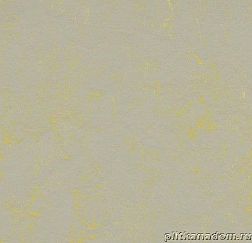 Forbo Marmoleum Concrete 3733-373335 yellow shimmer Линолеум натуральный 2,5 мм