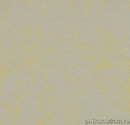 Forbo Marmoleum Concrete 3733-373335 yellow shimmer Линолеум натуральный 2,5 мм