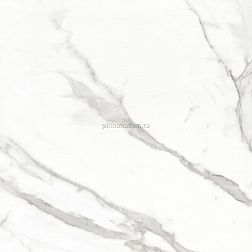 Bode Marble Porcelain BMB8561CP Calacatta керамогранит полированный 60х60 см