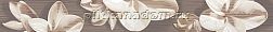 Azori Amati Plumeria Alba Бордюр 6,2х50,5 см