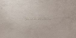 Atlas Concorde Dwell Gray Lappato Керамогранит 30x60 см