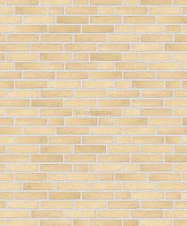 Randers Tegl Classica Gelb Handstrichziegel RT 209 DNF Бежевый Матовый Кирпич ручной формовки 22,8х3,5х5,4 см