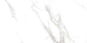 Neodom Splendida Statuario Irish Grey Polished Белый Полированный Керамогранит 60x120 см