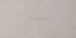 Grasaro Crystal G-600-PR Светло-серый Полированный Керамогранит 30x60 см