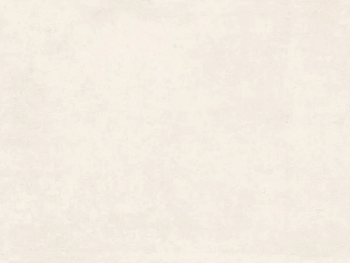 Betonica Crema PRO