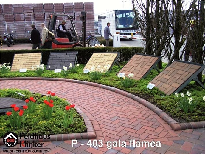 P 403 Gala Flamea